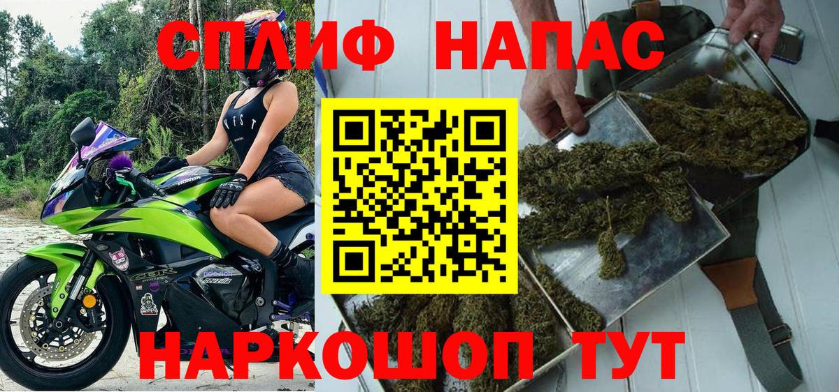 Конопля сатива  Вход с VPN  Бошки Шишки AK-47  Нововоронеж  Бошки Шишки тримм 