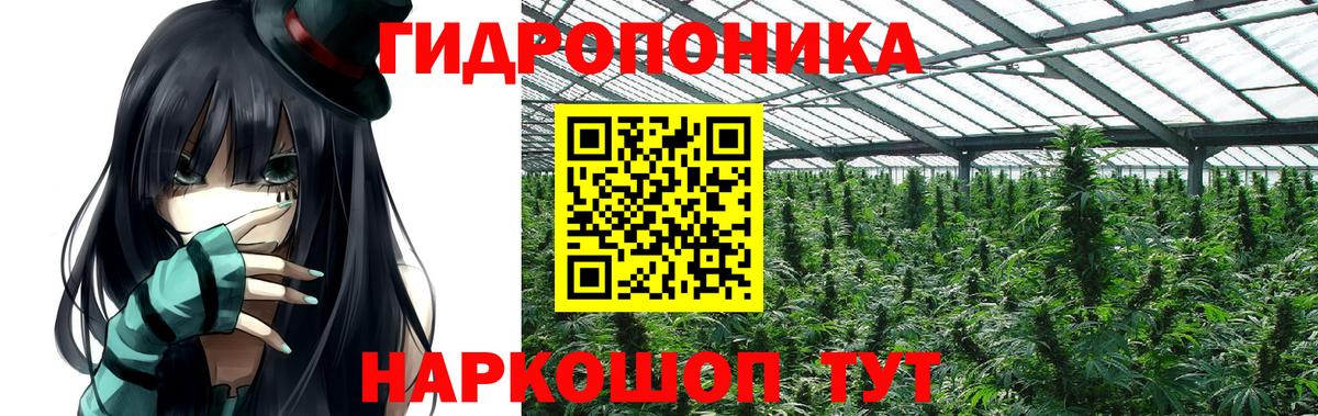 Канабис Amnesia Нововоронеж
